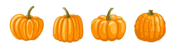 istock Orange cinderella fairy tale pumpkins. Decorative gourd for halloween, thanksgiving holiday. 1425853230