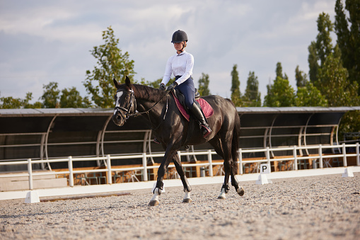 Equestrian sport. Portrait of teen girl, beginner female rider training at riding arena in autumn day, outdoors. Dressage of horses. Horseback riding. Concept of sport, grace, ad, active lifestyle