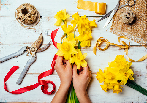 Top view of florist hands making flower bouquet with narcissus and decorative ribbon. Vintage flower shop and bouquet making in springtime.