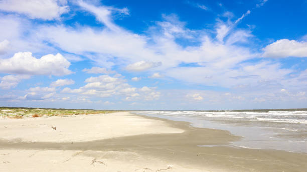 cumberland island beach side - cumberland island georgia island history - fotografias e filmes do acervo