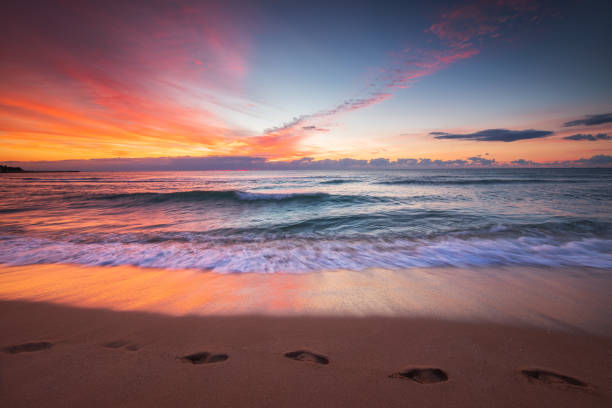 Footsteps on the beach sand, sea  sunrise