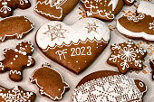 PF 2023 on Christmas gingerbread cookie