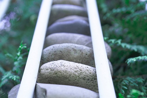 round pebble stone in the metal case for concept idea freedom and green pine tree bokeh