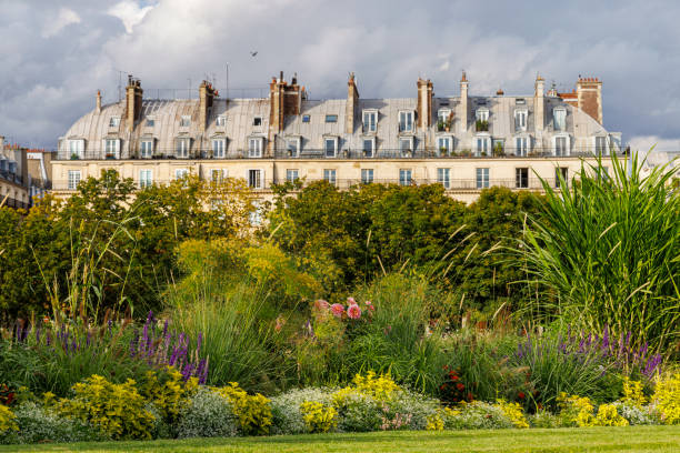 istock Paris street scene 1425875473