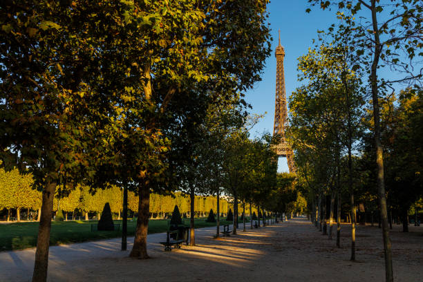 A sunrise view of the Eiffel Tower taken from Champ de Mars, Paris, France