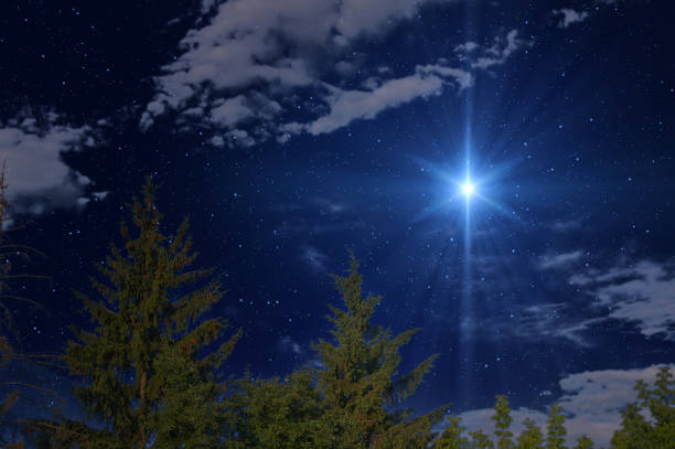 istock Christmas Star. Background with stars and trees in forest 1425884173