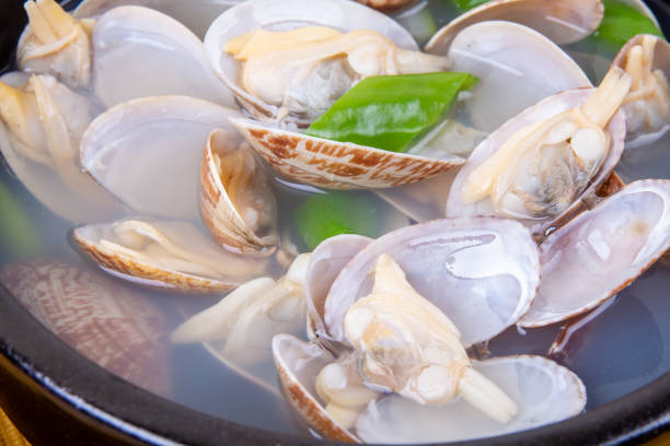 istock Clam Soup - Seafood (Ingredients, Sea Creatures, Cooking) 1425884218