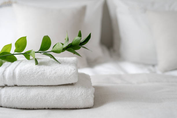 Green branch plant on fresh bathroom towels Close up view of green branch on fresh bathroom towels. Concept of dry cleaning, hygiene and laundry in hotel or home. Room service preparing accommodation for new guest. Advertising, copy space towel stock pictures, royalty-free photos & images