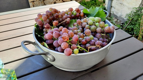 Bunch of Japanese Shine Muscat Grapes on a Dark Background