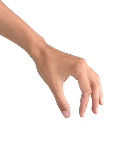 istock Beautiful woman hand holding items 1425894825