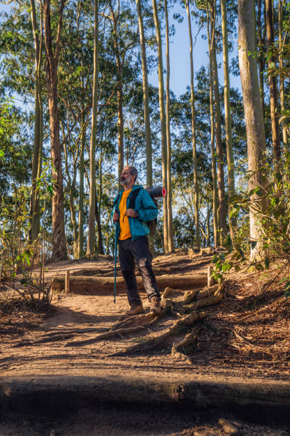 istock Senior man walking through the woods-hiking 1425897602