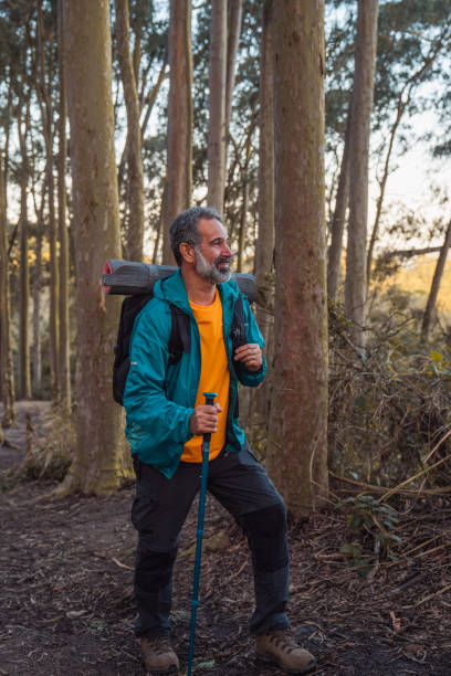 istock Senior man walking through the woods-hiking 1425898521