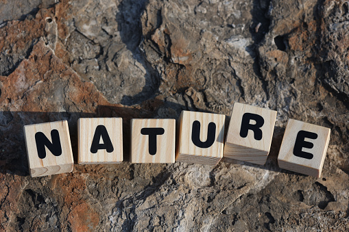 Word nature from wooden blocks on the rock