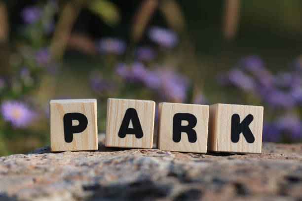 istock Word park from wooden blocks on the rock 1425901087