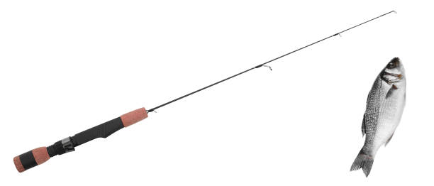 istock fish on fishing-rod 1425901102