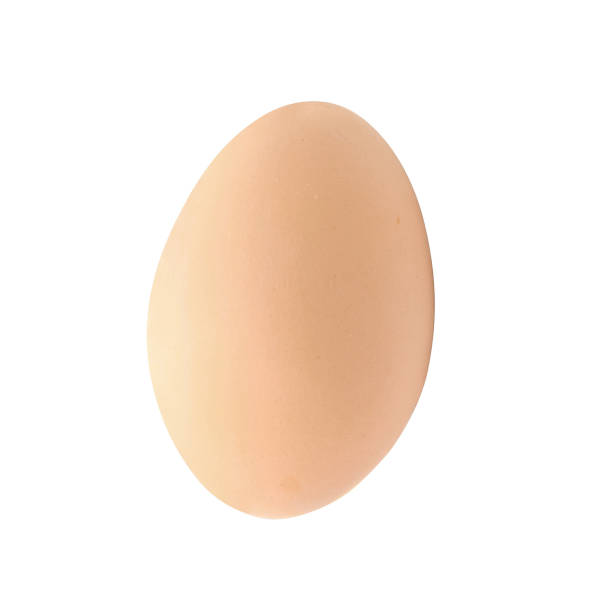 istock Close up of an egg isolated 1425901173
