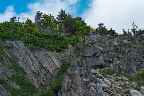 coastal landscape, beautiful wooded rocks formed by columnar basalt