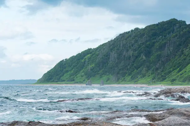coastal landscape, beautiful wooded rocks on the green coast of Kunashir island