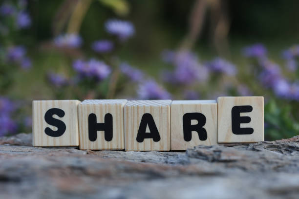 istock Word share from wooden blocks on the rock 1425902262