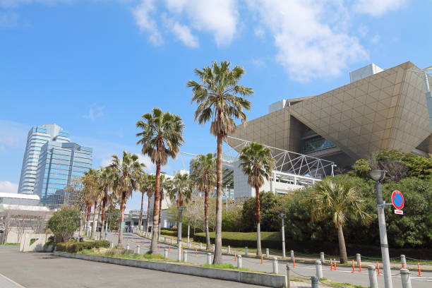 tokyo big sight e palmeiras - comiket - fotografias e filmes do acervo