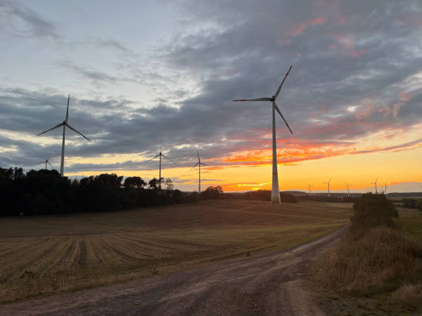 istock Panoramic view of wind farm or wind park on sundown, with high wind turbines for generation electricity with copy space. Green energy concept. 1425908430