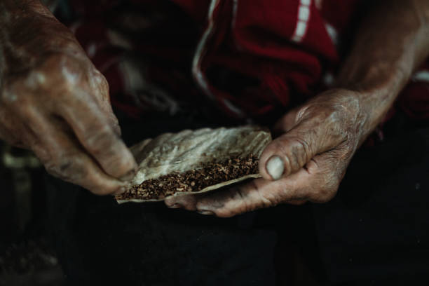 istock Hmong Hilltribe Old Man Rolling Cigarette Chiang Mai, Thailand Farmer 1425909196