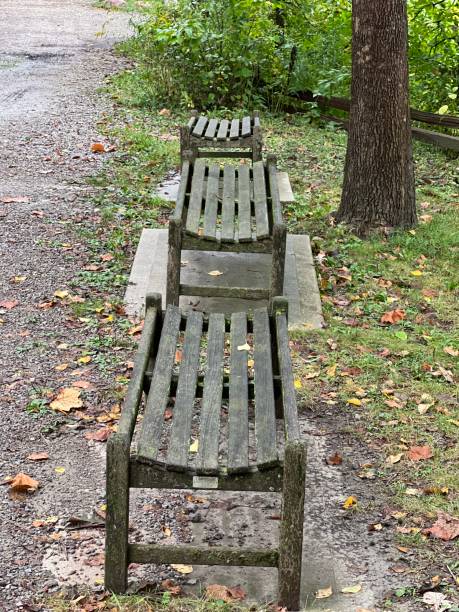 Park bench stock photo