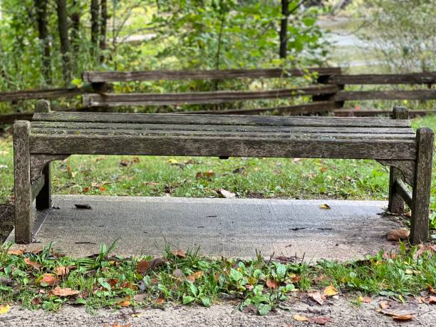 Park bench stock photo