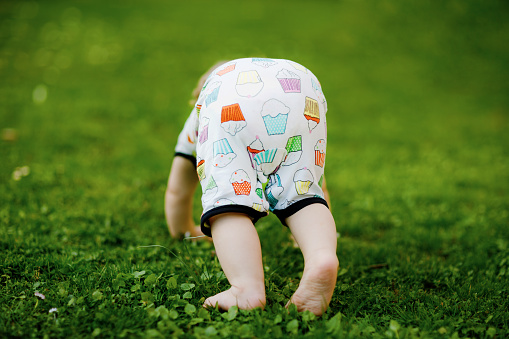 Cute adorable baby girl crawl and make first steps outdoors. Healthy happy toddler child learning walking. Lovely girl enjoy spring garden explore world