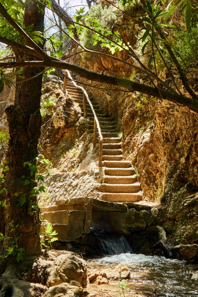 istock Stairway to heaven 1425921401