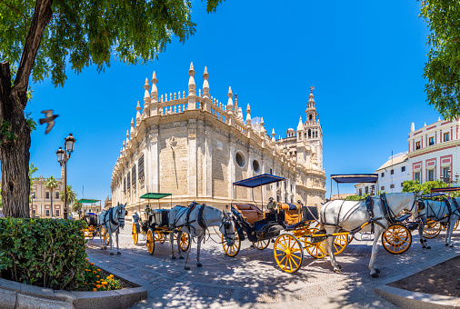Views of Seville city, with Guadalquivir river and bridges, towers, streets and Squares in Spain.c