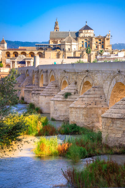 córdoba, españa. puente romano sobre el río guadalquivir y la gran mezquita (mezquita catedral) en la ciudad de córdoba, andalucía. - la mezquita cathedral fotografías e imágenes de stock