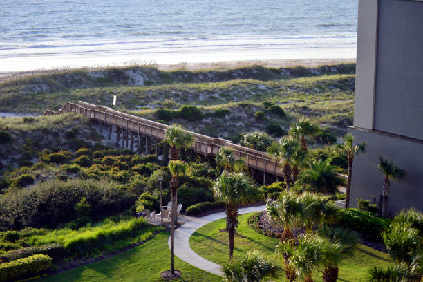 istock Boardwalk Bridge Over Coastal Dunes 1425925166
