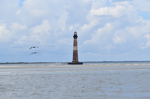 The Folly Beach lighthouse with birds flying towards it.