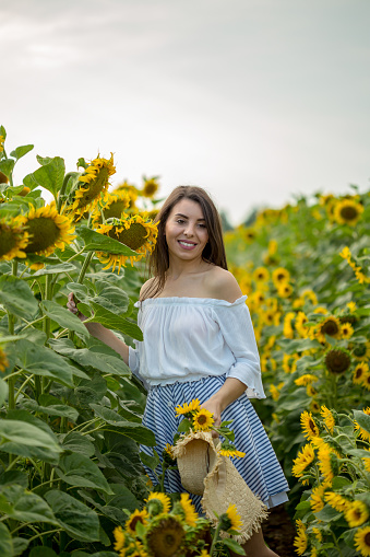 beautiful girl in field of sunflowers