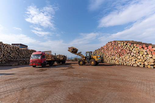 Truck and forklift working in the wood stacking area of the plant