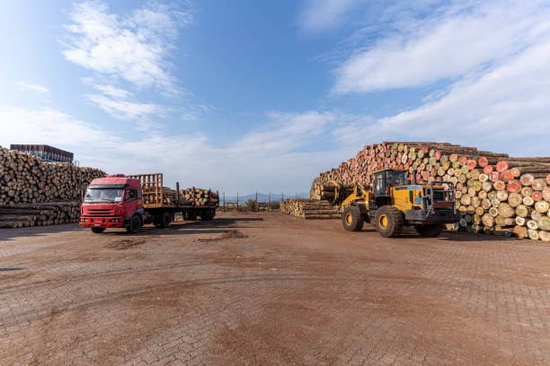camion e carrello elevatore per il trasporto di legname al porto - lumber industry timber truck forklift foto e immagini stock