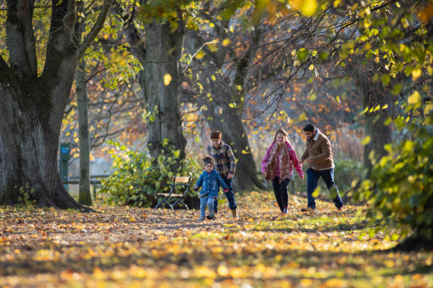 istock Walking in the Woods 1425930740