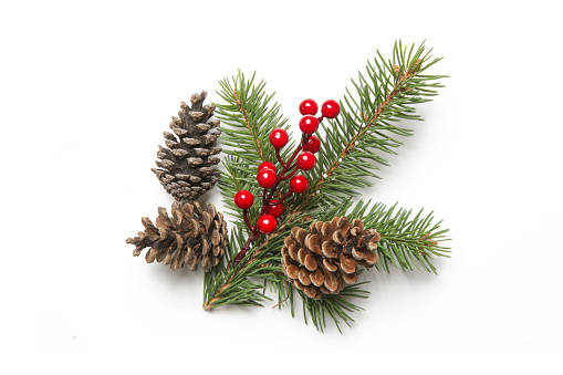 Christmas decoration element isolated on white. DIY festive, natural, zero waste, plastic free winter holidays decor made of fir branches, pine cones and red berries.