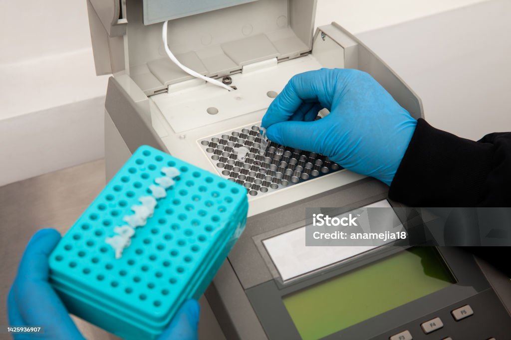 Closeup of a scientist hand while working at the laboratory with a thermal cycler. Polymerase chain reaction technique. PCR technique PCR Device Stock Photo