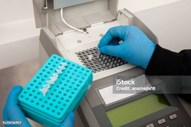Closeup Of A Scientist Hand While Working At The Laboratory With A Thermal Cycler Polymerase Chain Reaction Technique Pcr Technique Stock Photo - Download Image Now