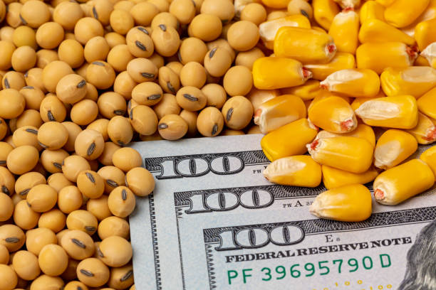Agronegócio Chinês deve Receber Investimentos para Reduzir a Dependência das Commodities Brasileiras e Verticalizar o Agronegócio. Imagem: Istockphoto Agronegócio Chinês deve Receber Investimentos para Reduzir a Dependência das Commodities Brasileiras e Verticalizar o Agronegócio. Imagem: Istockphoto