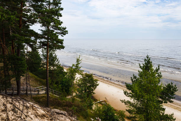 istock View from observation platform near the Baltic sea in Latvia 1425945532