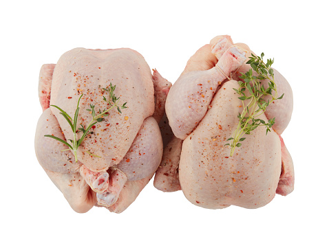 fresh chicken isolated on white background with clipping path