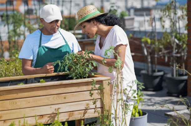 istock Learning About Urban Farming And  Gardening On The Rooftop 1425951571