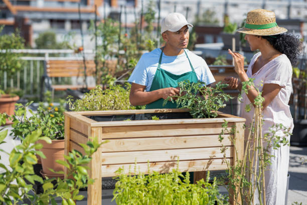 istock Learning About Urban Farming And  Gardening On The Rooftop 1425951594