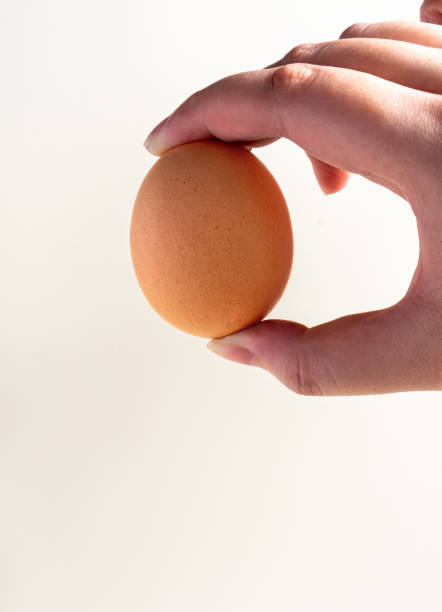 istock Asian women's hand with an egg isolated over white with hard shadow. 1425958662