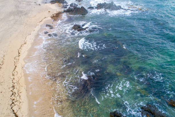 istock aerial view of a rocky beach 1425961034