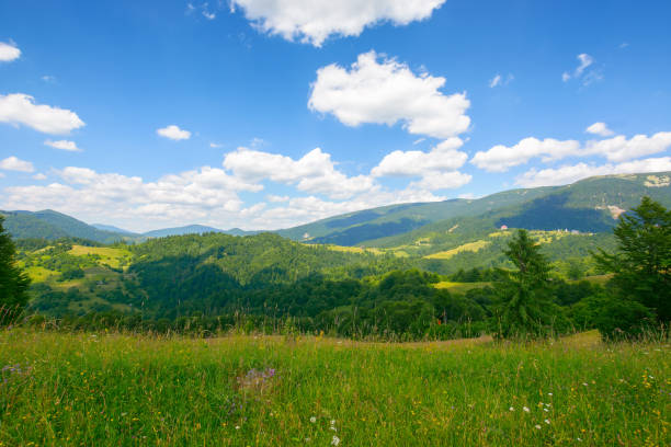 istock green field on the hill in mountains 1425961121