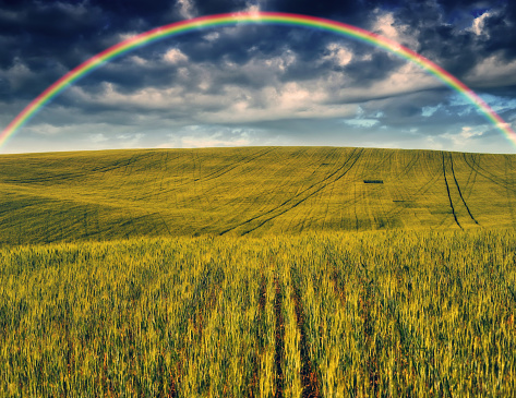 Scenic view of rainbow over green field. dramatic gray sky over a picturesque hilly field